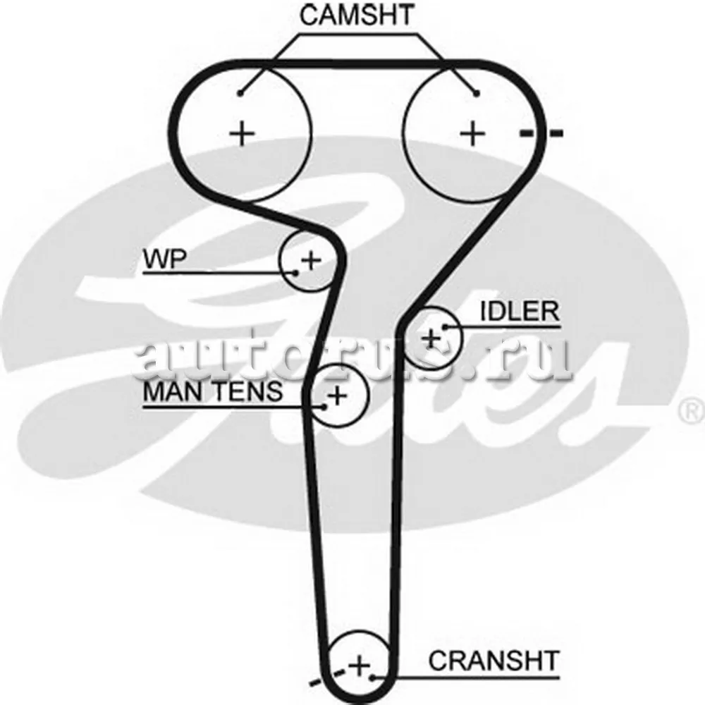 Ремень ГРМ FIAT Bravo/Marea/Marea Weekend mot.2,0L 20V GATES 5423XS GATES  артикул 5423XS - цена, характеристики, купить в Москве в интернет-магазине  автозапчастей АВТОРУСЬ
