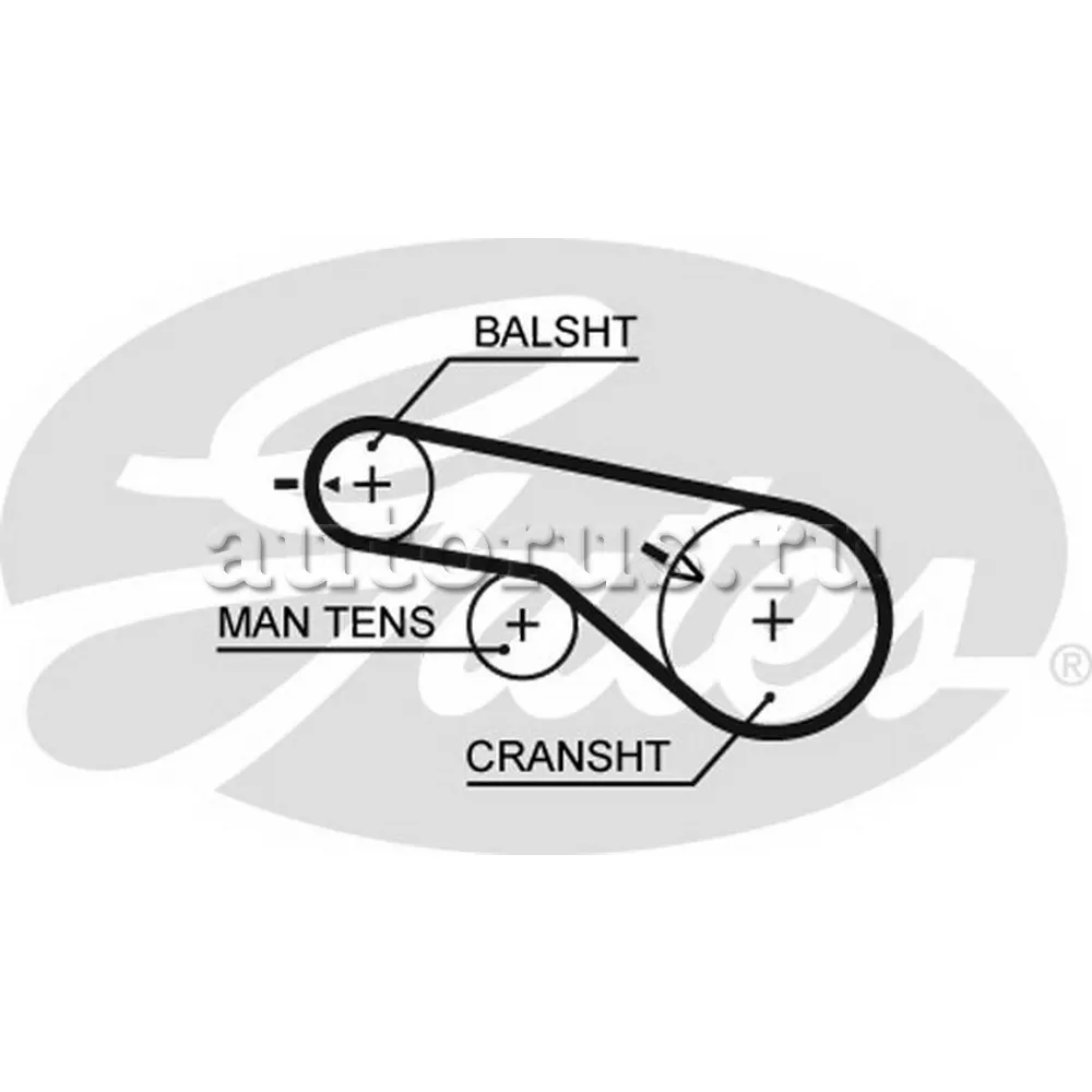 Ремень ГРМ GATES 5570XS