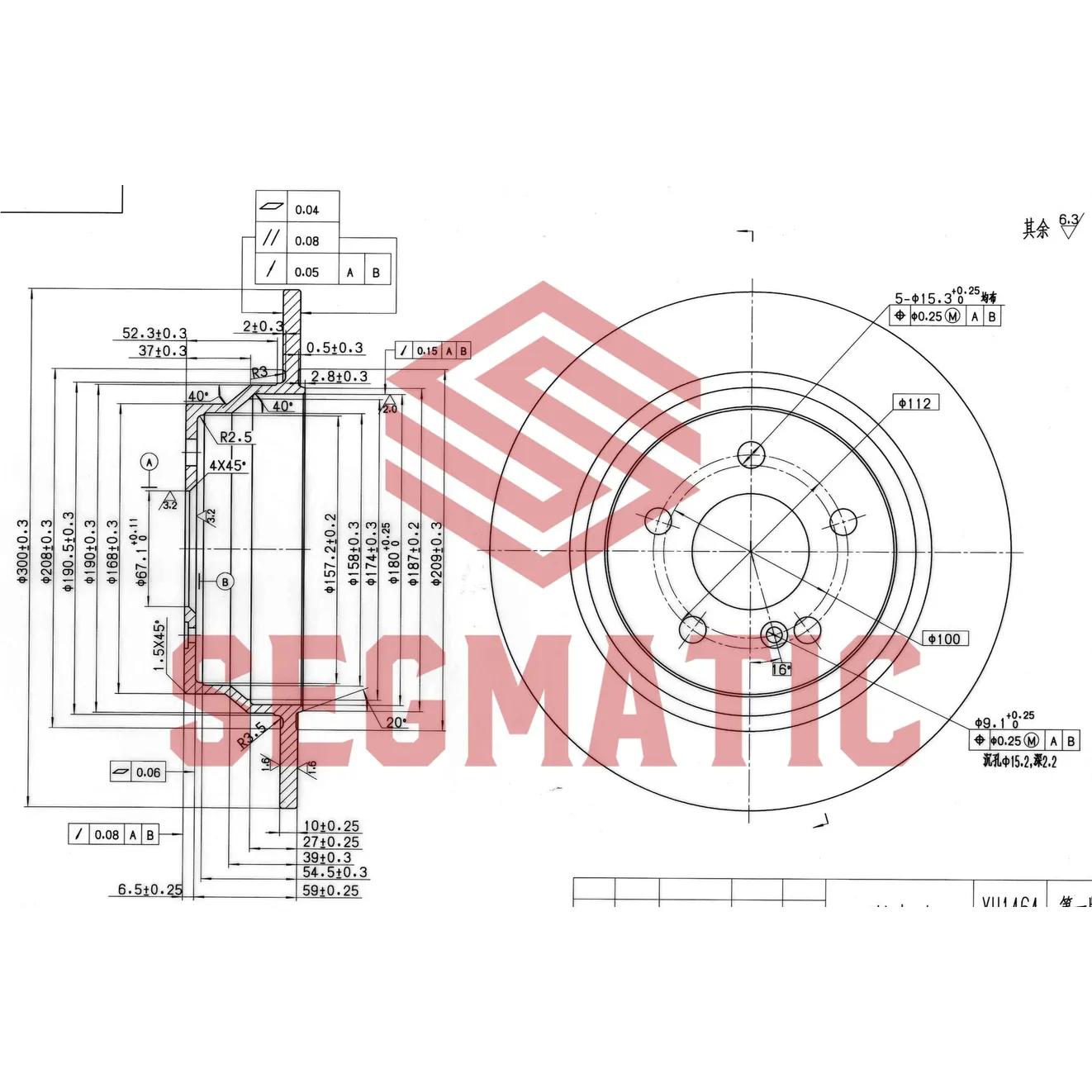 Диск тормозной задний MER W211 300X10 R 02/09->> SEGMATIC SBD30093238