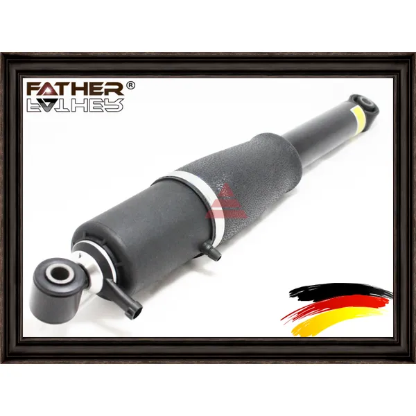 Пневмоамортизатор задний FATHER F1891R79
