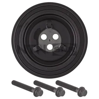 Шкив коленвала (с болтами) SNR DPF35209K1