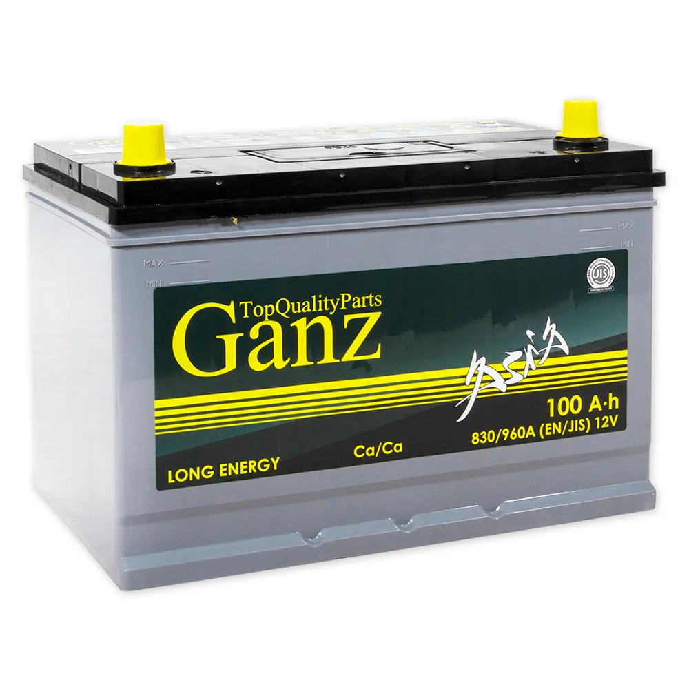 Аккумулятор GANZ ASIA 100 А/ч прямой L+ 304x173x220 D31 EN 830 А