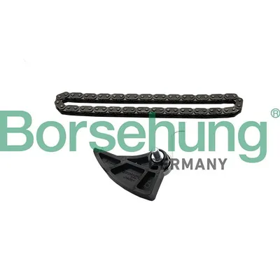 Комплект цепи масляного насоса BORSEHUNG B19287