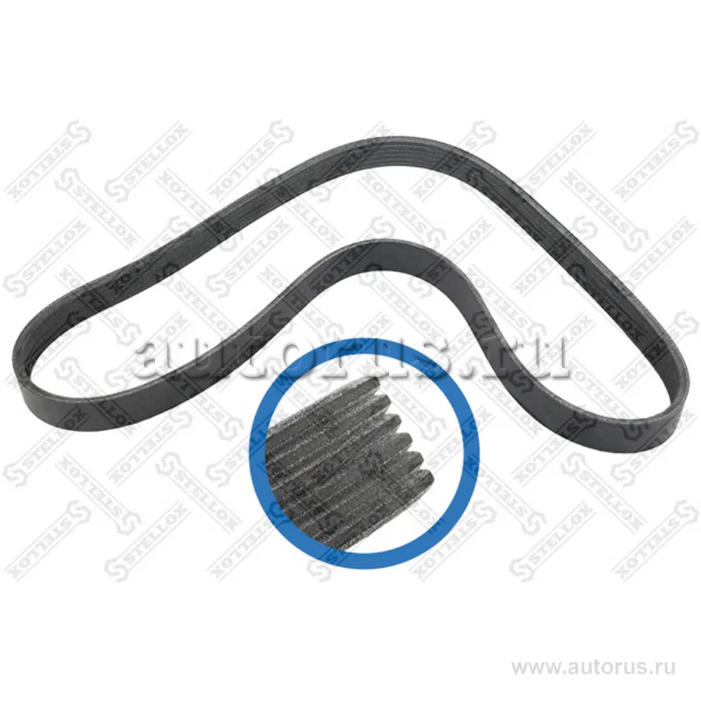 Ремень поликлиновый 6PK1019EE Ford Fiesta/Fusion 1.25-1.6 01>, Maz STELLOX 06-01019-SX