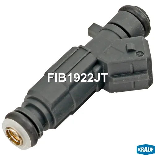 Форсунка бензиновая CITROEN C4, C5,C8, JUMPY, XCARA 2.0L (00-05) // PE KRAUF FIB1922JT