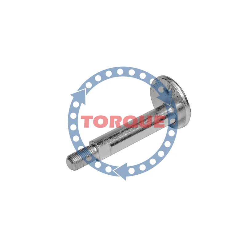 Болт эксцентриковый TORQUE CP003