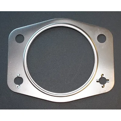 Прокладка компрессора 394.150