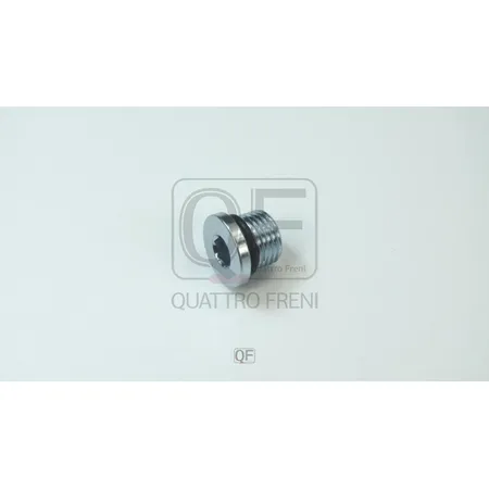 Пробка масляного поддона с кольцом QUATTRO FRENI QF54A00070