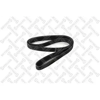 Ремень поликлиновый 8PK1610 MB Axor,RVI STELLOX 08-01610-SX