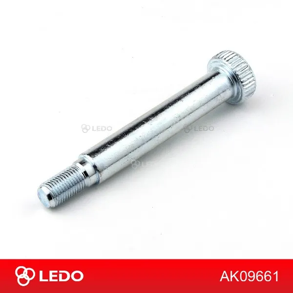 Болт переднего рычага LEDO AK09661