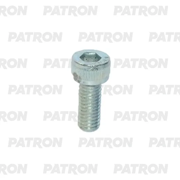 Болт металлический имбус болт универсальный M10X45 PATRON P37-3092T
