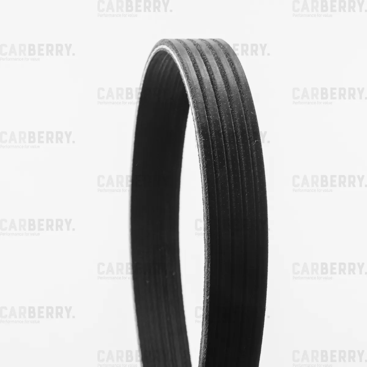 Ремень поликлиновой Universal CARBERRY 5PK870
