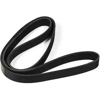 Ремень поликлиновый 8PK1625 MB Truck ZENTPARTS Z23045