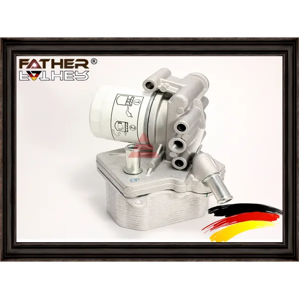 Корпус фильтра с теплообменником FATHER F998R76