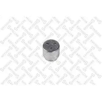 Поршень суппорта d45 Akebono Mitsubishi Pajero III/IV STELLOX 04-98320-SX