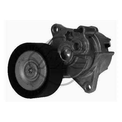 НАТЯЖИТЕЛЬ РЕМНЯ MER W202/W203/W210/W211/W220/SPRINTER 2.0CDI-3.2CDI (в сборе)