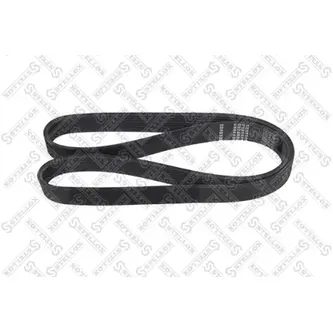 Ремень поликлин.8PK1240 Omn MB 8PK1240 STELLOX 0801240_SX