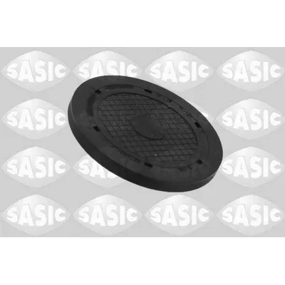 Заглушка RENAULT DusterLogan Sandero ClioKangooLaguna SASIC 1964003