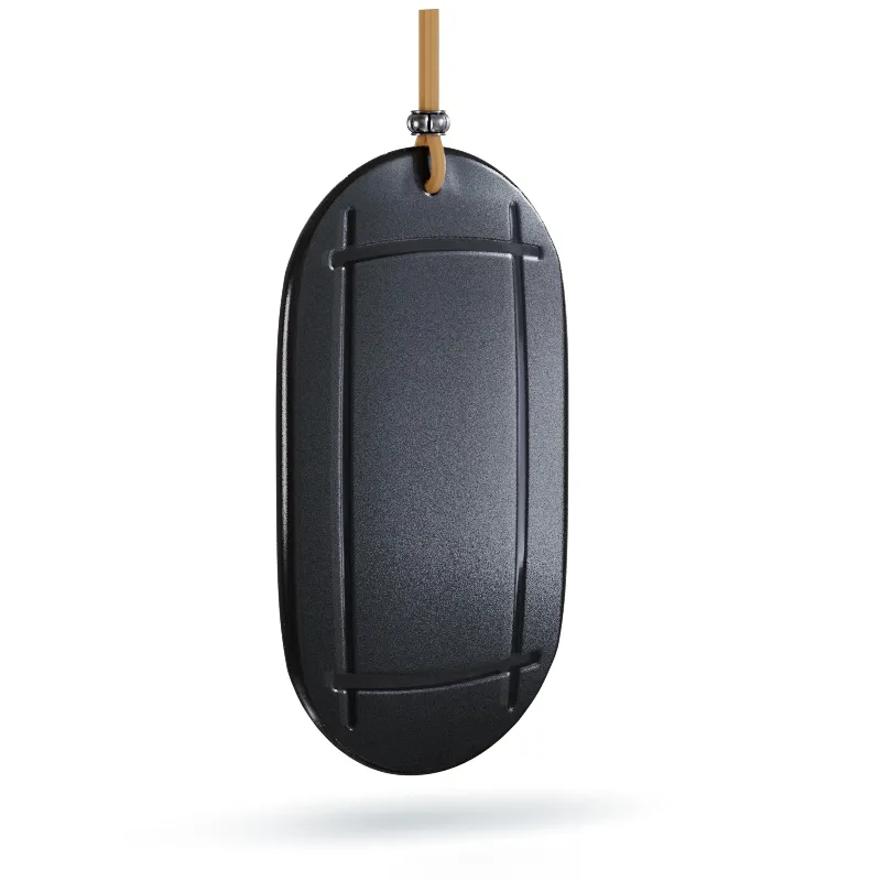 АРОМАТИЗАТОР AVS SG-009 AMULET (АРОМ. ОГНЕННЫЙ ЛДFIRE ICE ) (ГЕЛЕВЫЙ