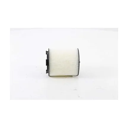 Фильтр воздушный POLO-?B?ZA-A1-FAB?A 10- BSG BSG90135021