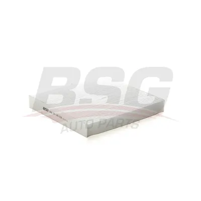 Фильтр кондиционера RANGER/MAZDA 12- BSG BSG 30-145-024