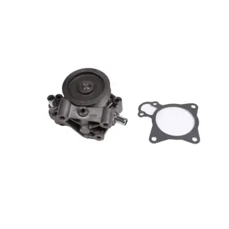 Помпа Citroen Jumper, Fiat Ducato, Peugeot Boxer 3.0HDi 06> STELLOX 4500-0316-SX