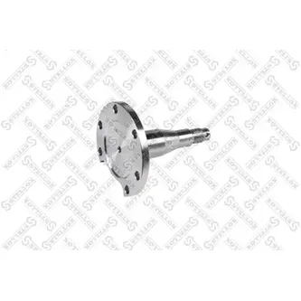 Цапфа задн.Audi 80,VW Golf/Jetta/Passat STELLOX 4215100_SX