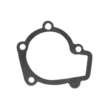 Прокладка насоса водяного 25124-23010 Hyundai Tucson 2.0 G4GC 04> STELLOX 11-25729-SX