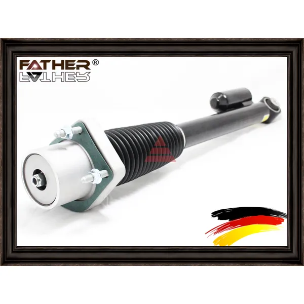 Амортизатор подвески rear RH FATHER F1882R79