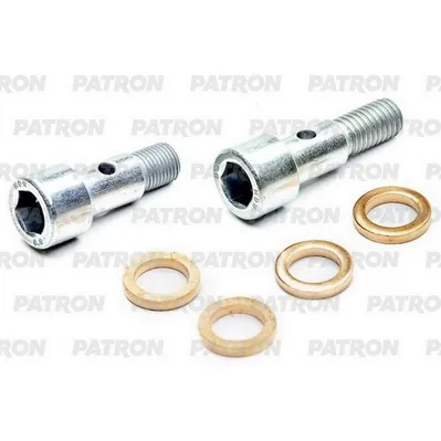 Ремкомплект турбокомпрессора GARRETT GT1544V PSA 1.6HDi (DV6TED4 /9HZ) 2005> PATRON PTR4044
