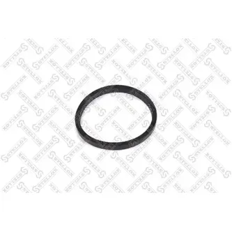 Прокладка масляного радиатора Audi A3/A4/A6, VW Golf/Passat 2.3-2. STELLOX 11-25433-SX