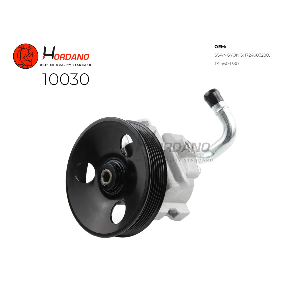 Насос ГУР SSANGYONG ACTYON II Hordano 10030