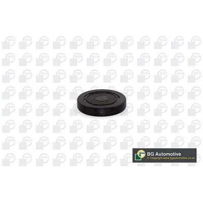 ЗАГЛУШКА ОСИ КОРОМЫСЛА REN CLIO/ESPACE/LAGUNA/MEGANE/DAC LOGAN 1.4-2.0 99- (52.5X57X10.6) Bga PL4601