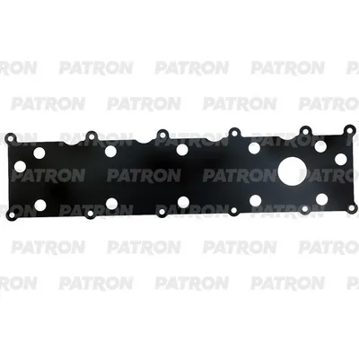 Прокладка клапанной крышки Rover, Honda 2.0TD 20T2N 96> PATRON PG60099