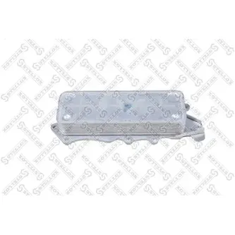 Радиатор масляный MB W204/W211/W212/W164/Sprinter 3.0CDi 06> STELLOX 10-73020-SX