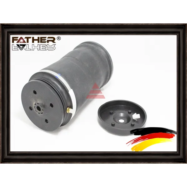 Пневмобаллон REAR FATHER F1871R79