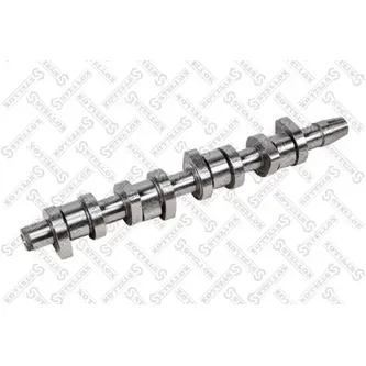Распредвал 038109101AH VW Golf V 1.9TDI BLS 03> STELLOX 10-10075-SX