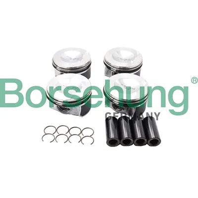 Поршень палец кольца к-т 4 шт BORSEHUNG B18741
