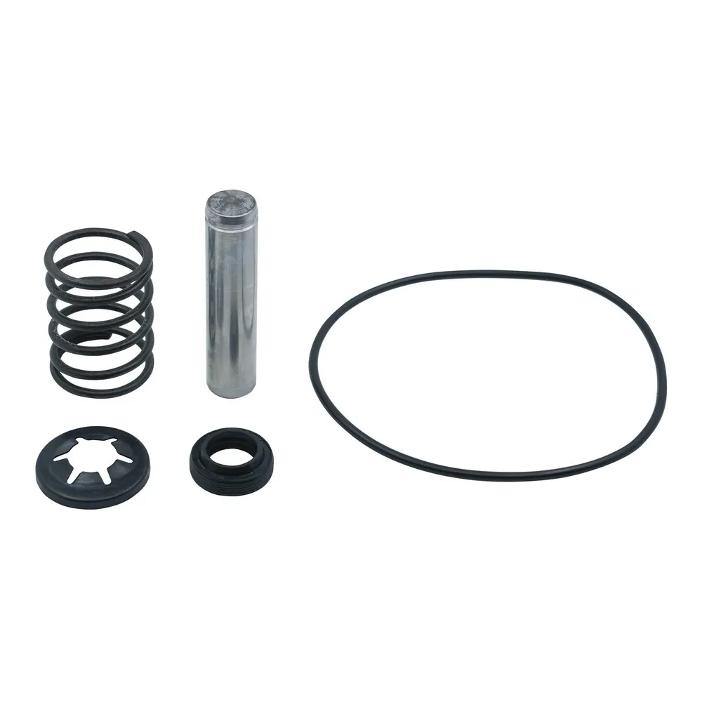 Полный ремкомплект поршня C22P НОВИНКА Grass AVD-0803 GRASS AVD-0803