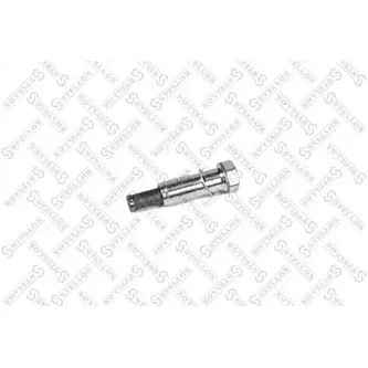 Натяжитель цепи грм bmw e60/e81/e87/e90/x3 2.0d n47 07 STELLOX 0341146SX