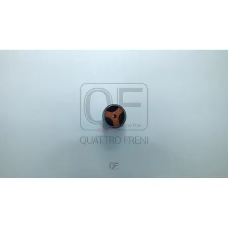 Клапан давления масла QUATTRO FRENI QF44A00071