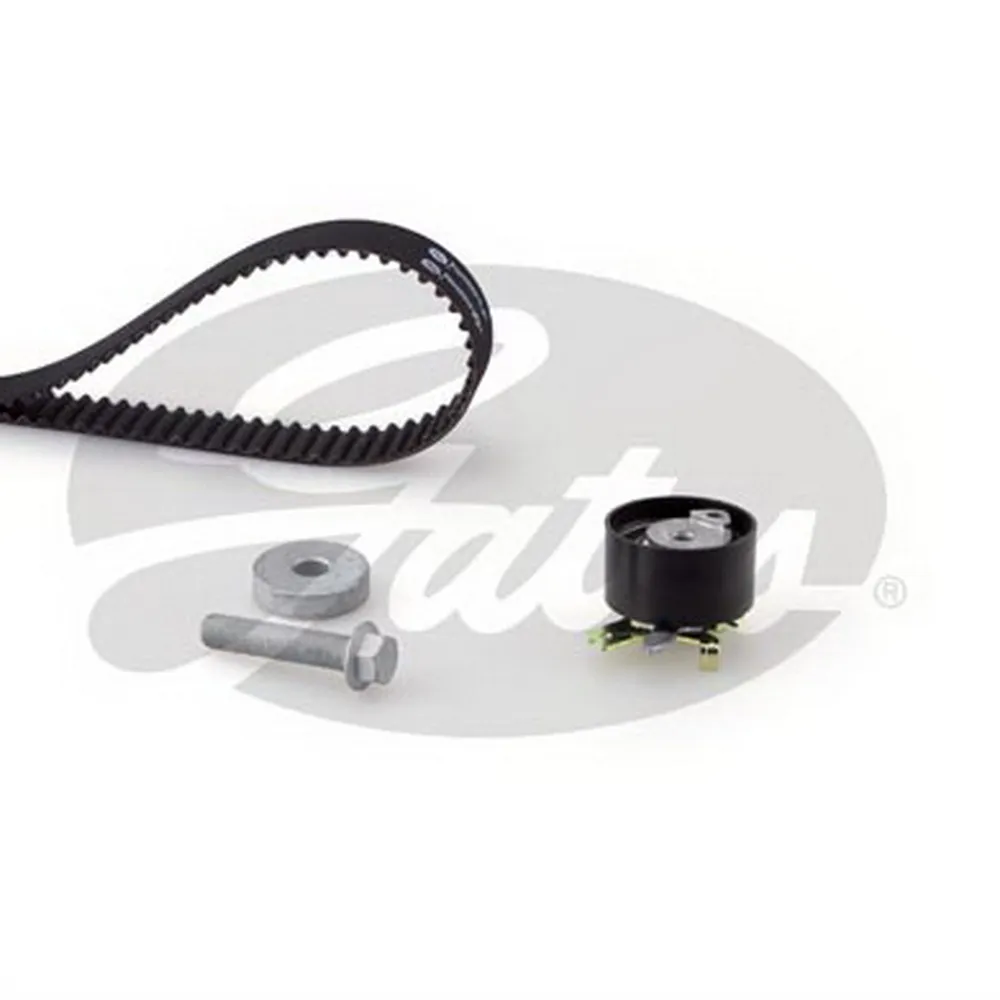 Ремкомплект ГРМ Renault Clio/Kangoo/Megane 1.5DCi Gates K025578XS