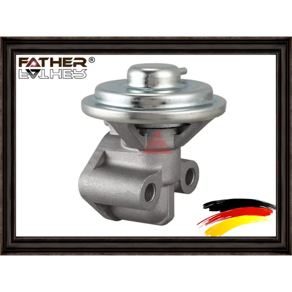 Клапан выхлопных газов F285R59