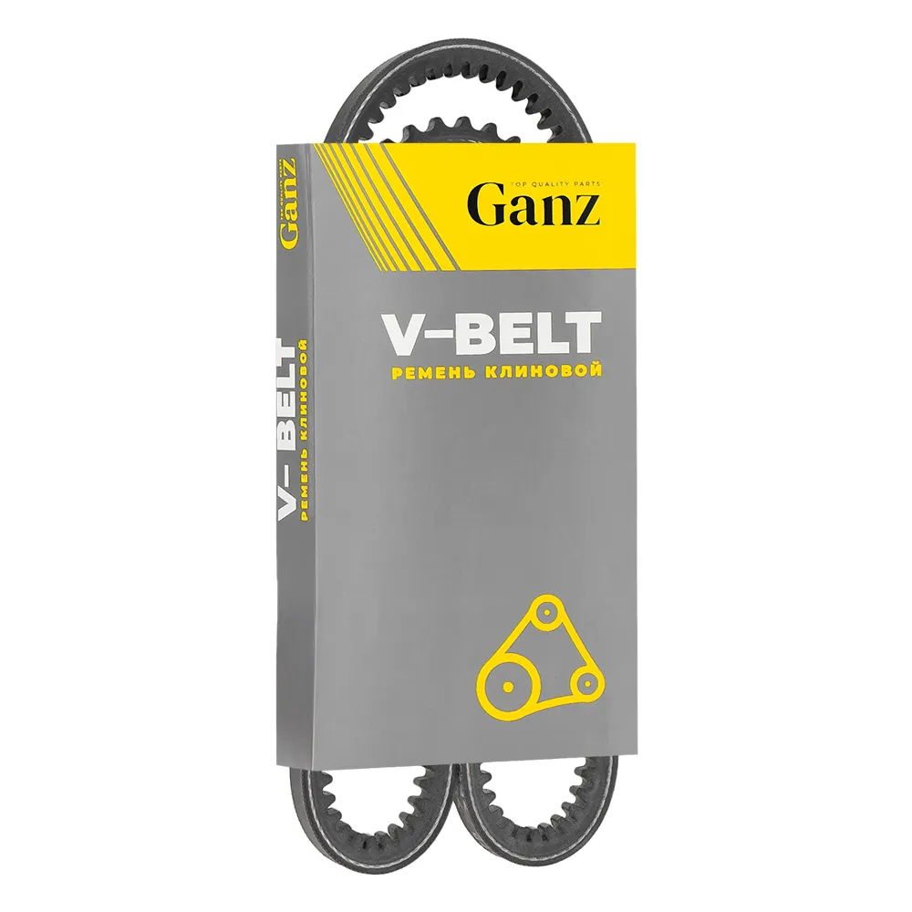 Ремень клиновой 10X875 VAG / OPEL GANZ GIE37216