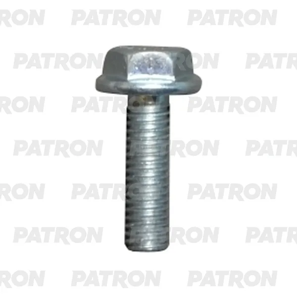 Болт металлический белый универсальный M6X20 PATRON P37-2586T