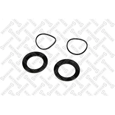 Р/к диcк торм(рм) пыльн, сальн для Assy STELLOX 8511087_SX