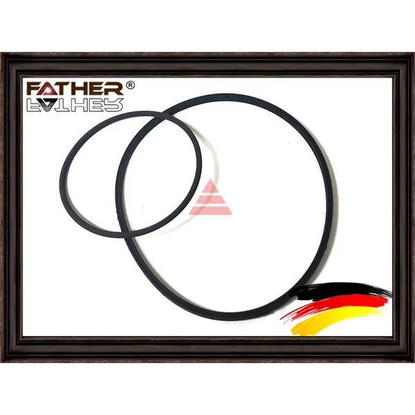 Прокладки вакуумного насоса FATHER F0062S01