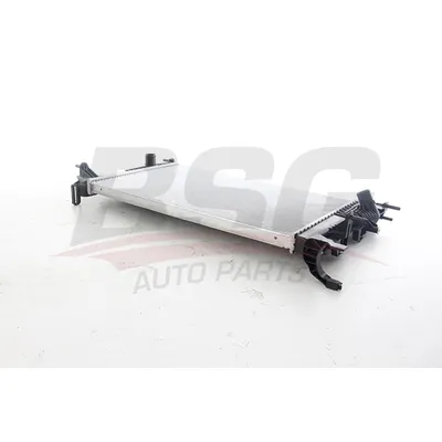 Радиатор, охлаждение двигателя MEGANE III 08- BSG BSG 75-520-024
