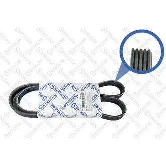 Ремень поликлиновый 5PK1150 Fiat Punto 1.4 03> STELLOX 05-01150-SX