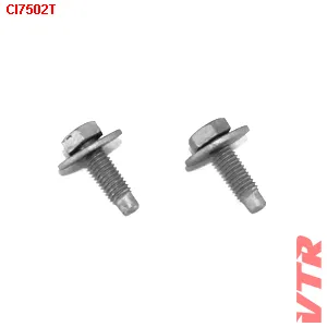Болт с шайбой комплект 2 шт. VTR CI7502T